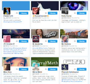 People followed by ⛽ ️Hashtag Sally ♫ hashtag_sally Twitter.png21
